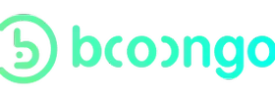 Booongo game provider